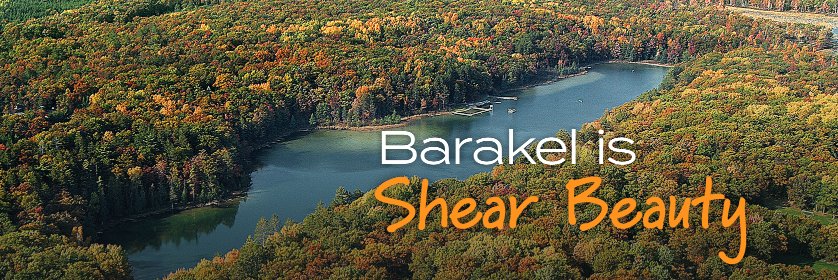 CampBarakel's profile banner image