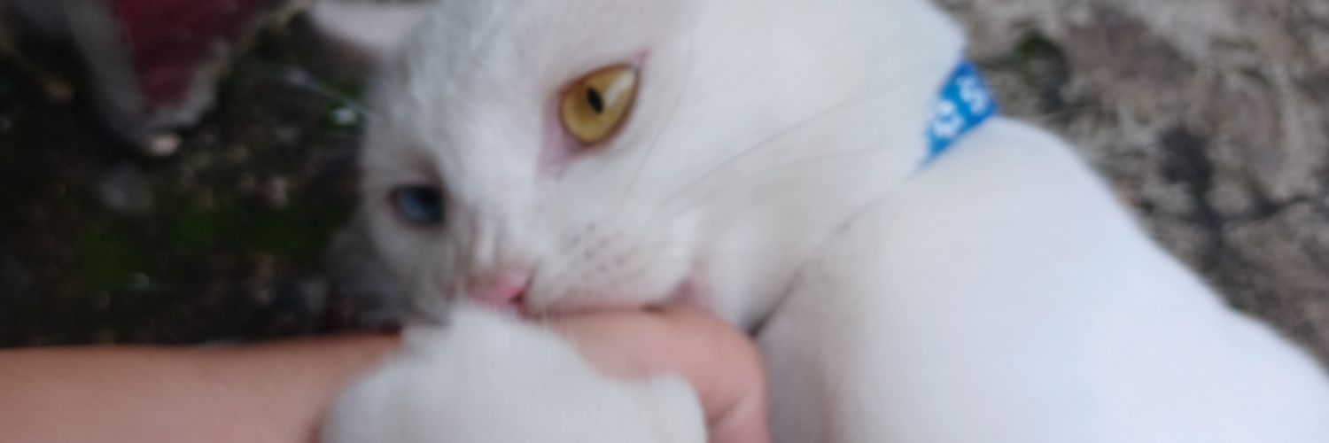 sincerely_Kly's profile banner image
