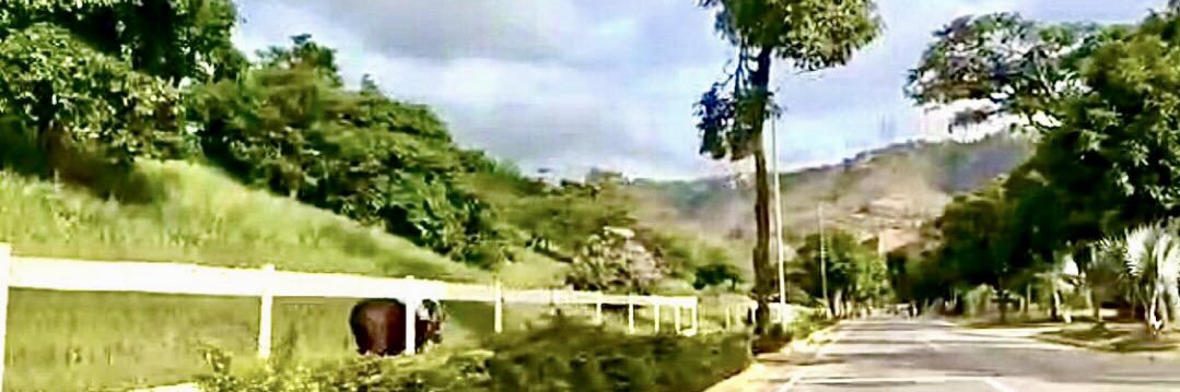 𝐒𝐚𝐛𝐛𝐚𝐝 🏇 𝐓𝐨𝐫𝐫𝐞𝐬  banner