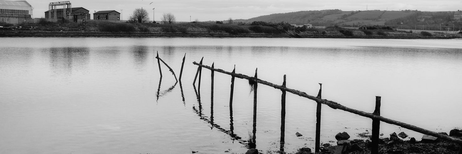 Dr Tim Fosker banner