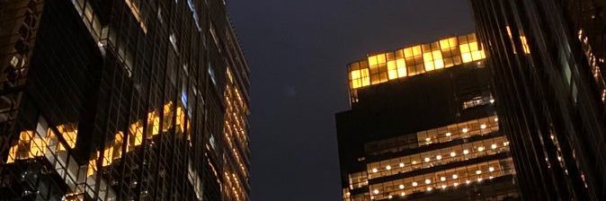lumi 🐈🐾 banner