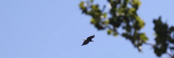 JMUNZEKERE Profile Banner