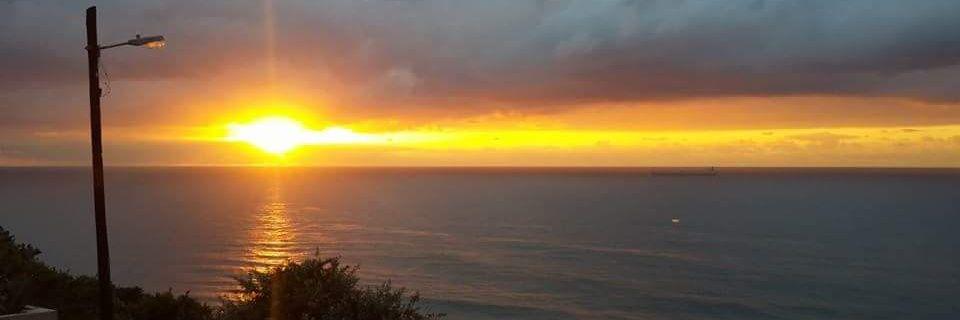 Surfcave's profile banner image