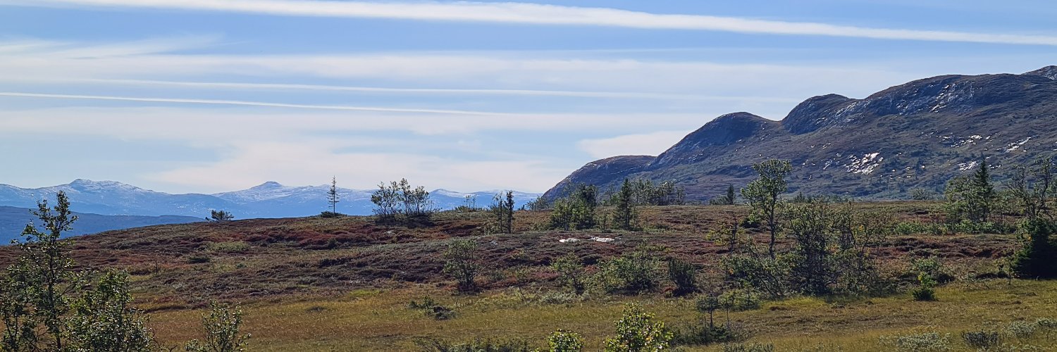 bpilstrom's profile banner image