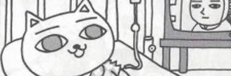 鸟鸟一's banner