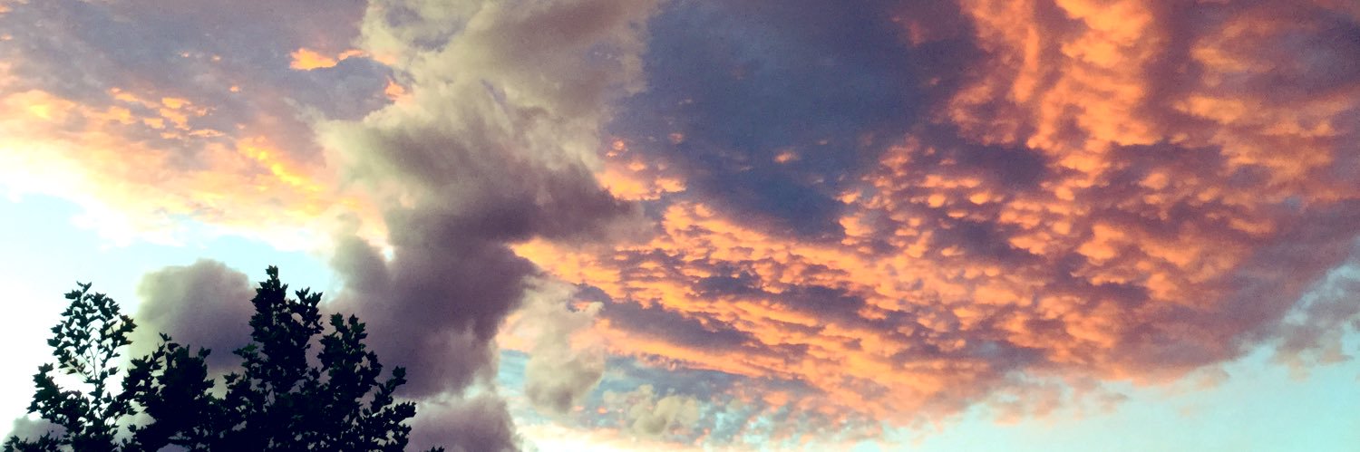 MsLizzah's profile banner image