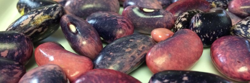 Slow Food Sacramento banner