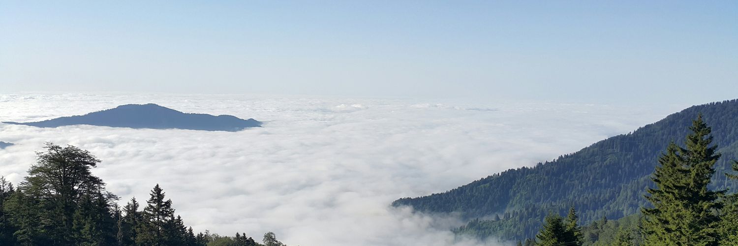mikbalkoseoglu's profile banner image