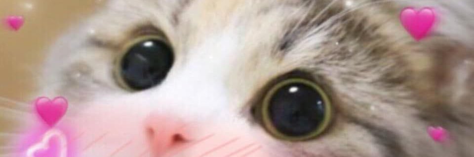 moved accounts 😎 dont find me, ill find u banner