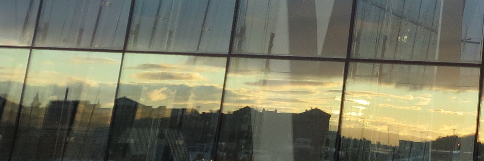 Nathalie Fabbe-Costes banner