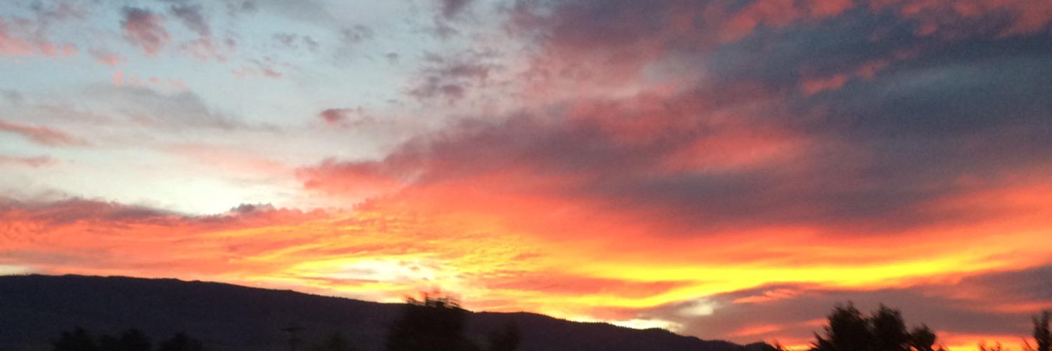 hayley_glantz's profile banner image