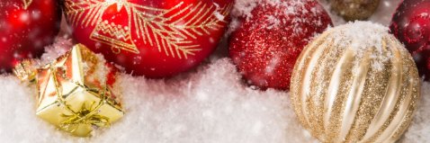 Dr Rachel Wray banner