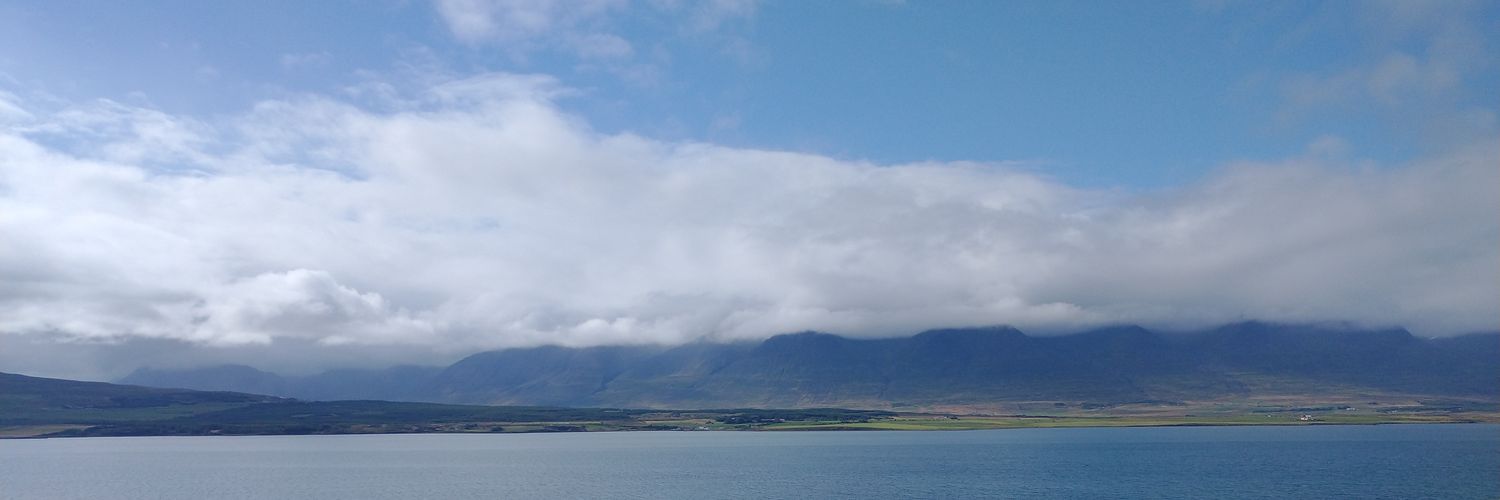 SveKari's profile banner image