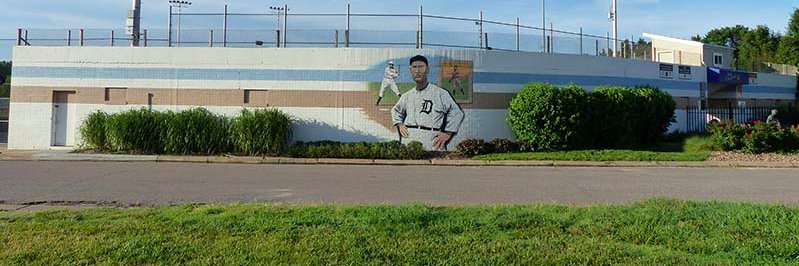 Wahoo State Bank Reds and Pharmacy Blues Baseball banner