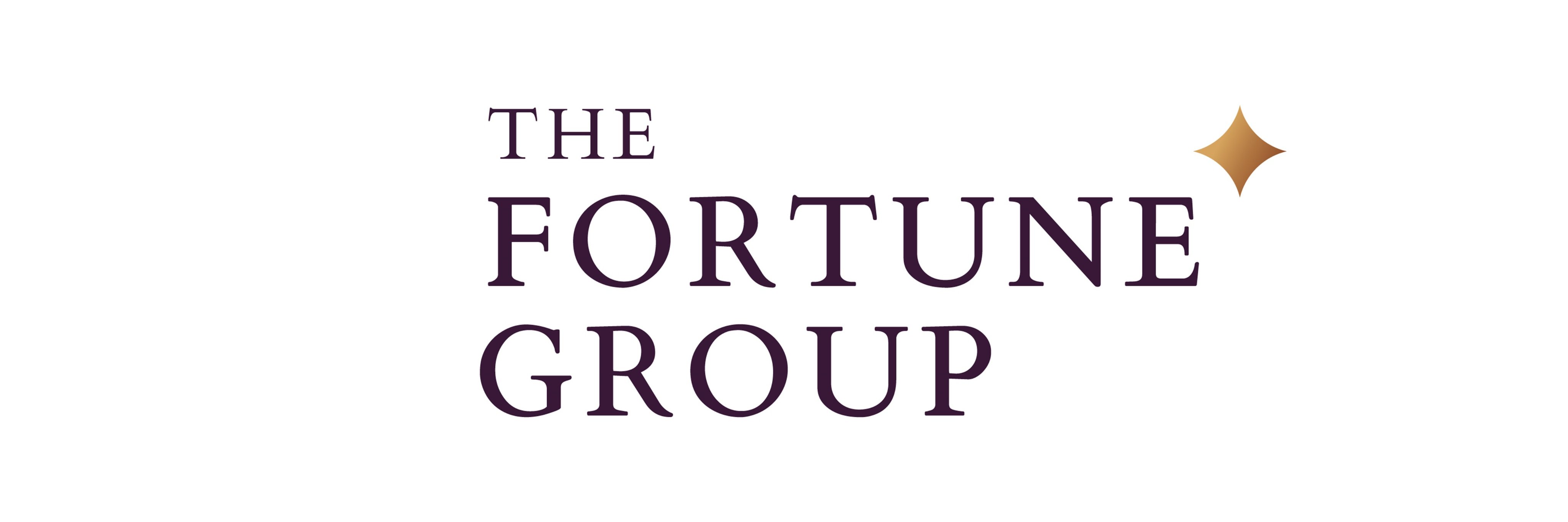FortuneGroupLLC's profile banner image