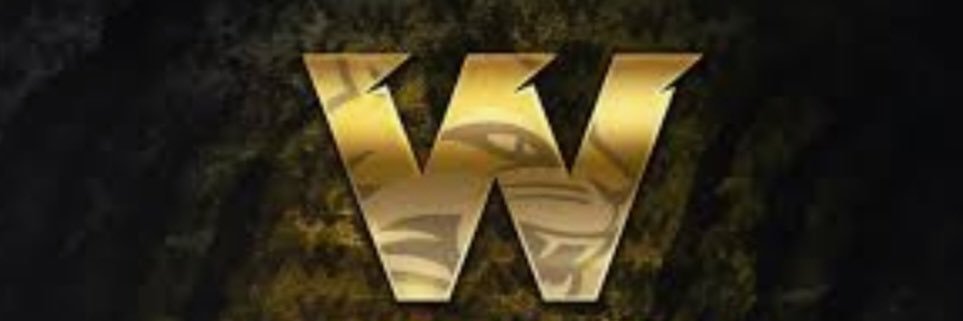 Will Washenberger banner