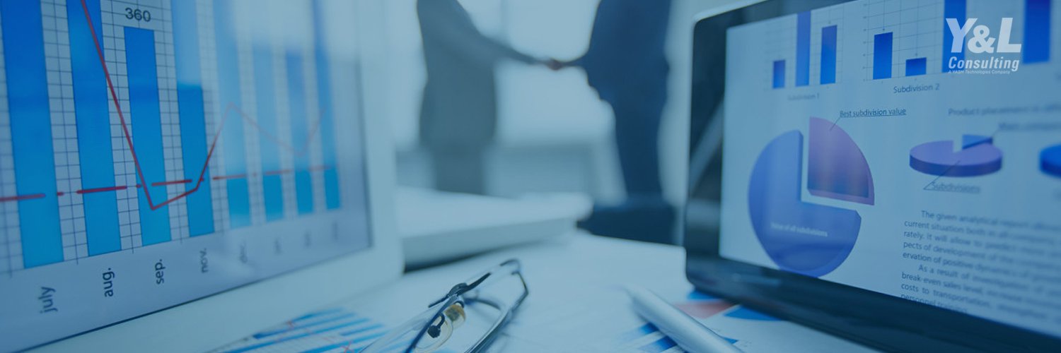 Y&LConsulting banner
