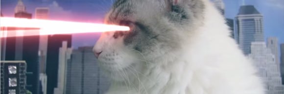 mimi_jedi's profile banner image
