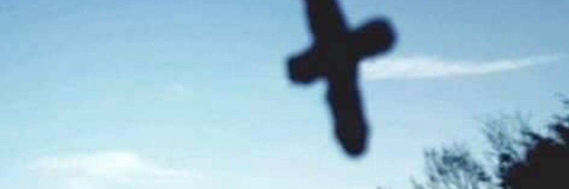 Arthur (Ted) Stenberg IV's banner