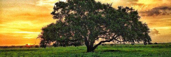 StCharlesHerald Profile Banner