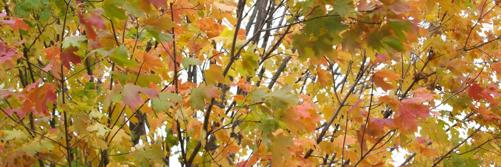 FoundryM's profile banner image