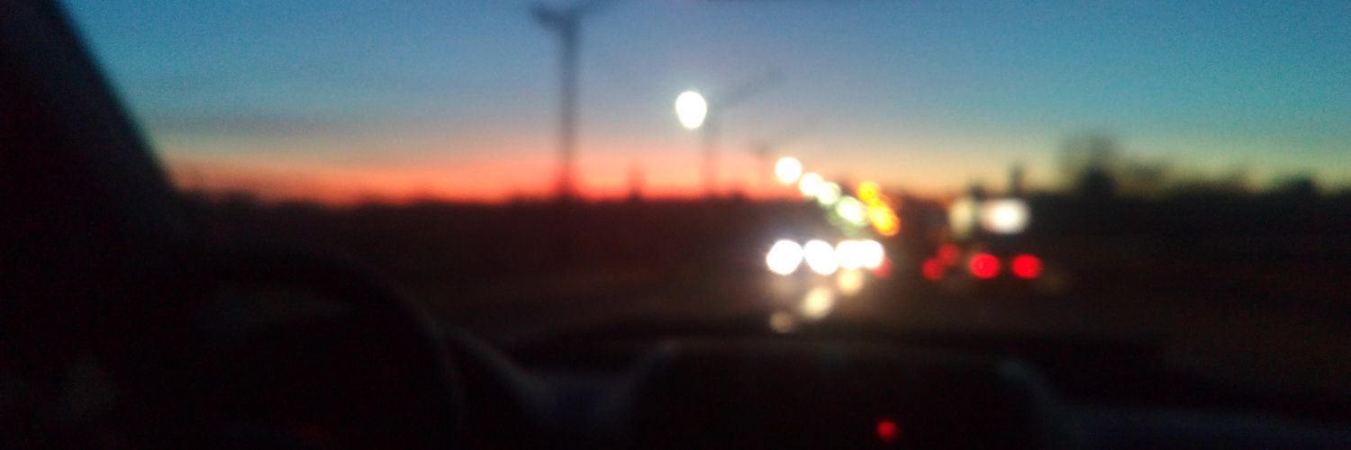 vn_viktoria's profile banner image
