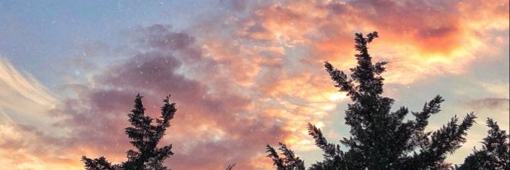 tommasi97's profile banner image