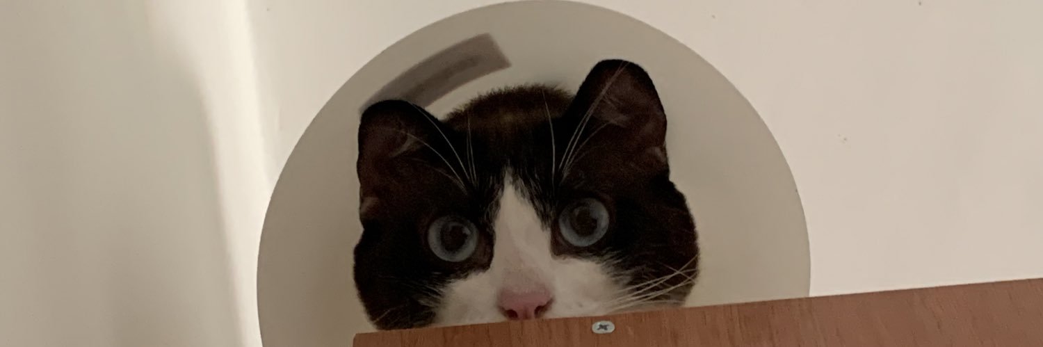 allybeliba's profile banner image