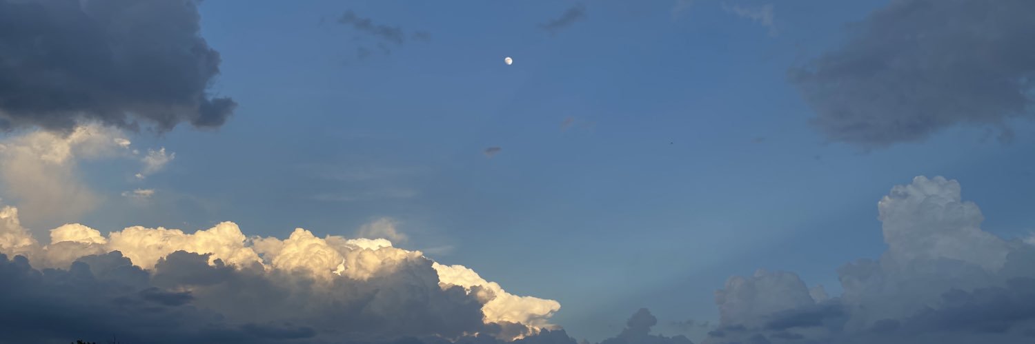double_yolk's profile banner image