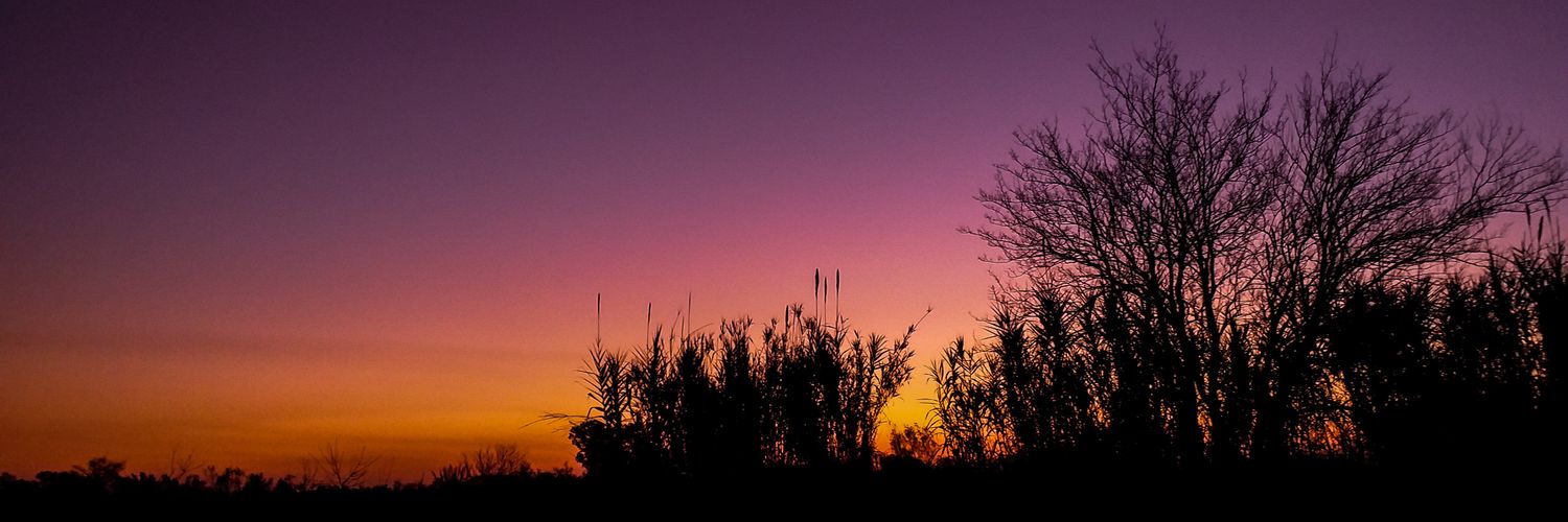 Chuchi_Acosta's profile banner image
