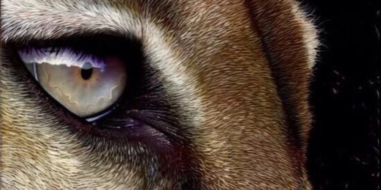 io0_'s profile banner image
