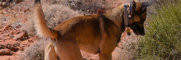 SpikeIronsxxx Profile Banner