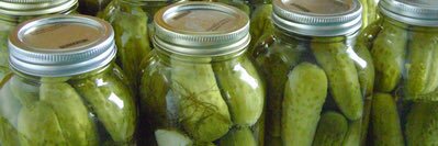 Pickle81786700's profile banner image