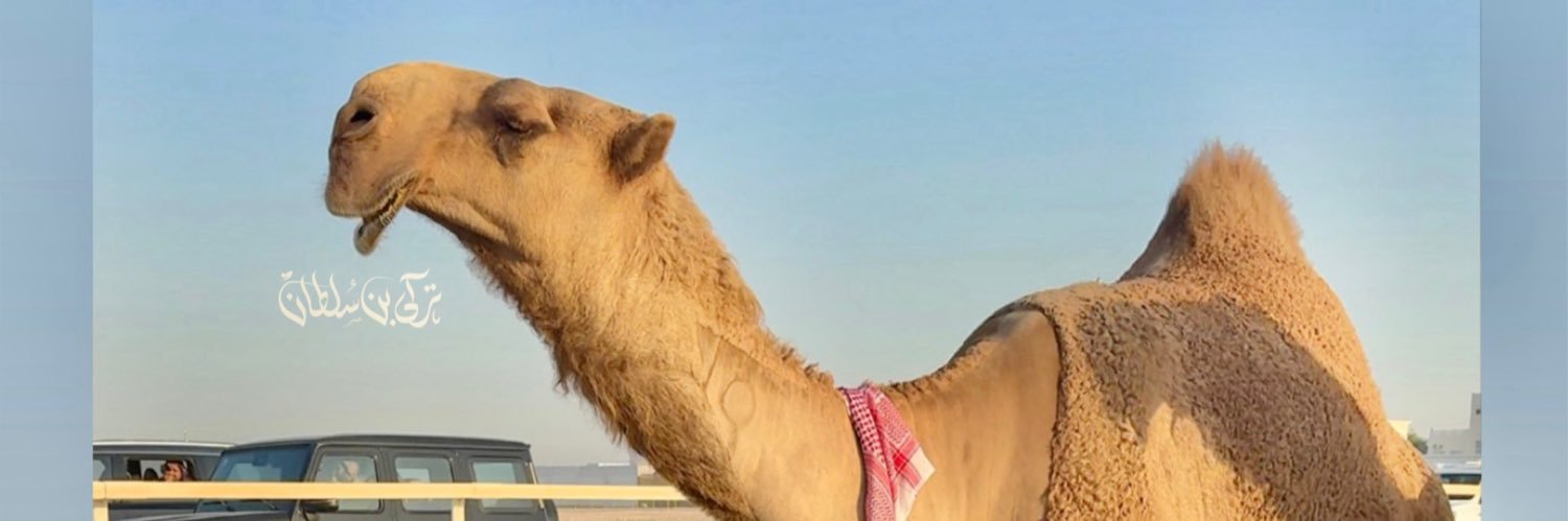 تركي بن سلطان 🖤. banner