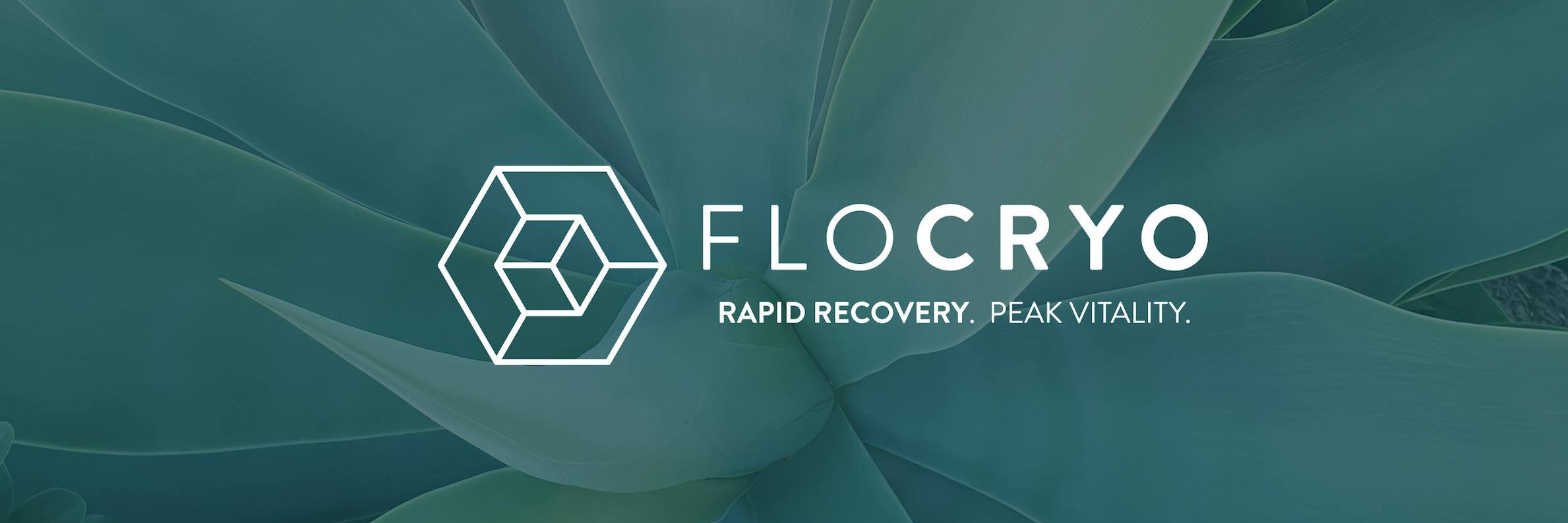 flo_cryo's profile banner image