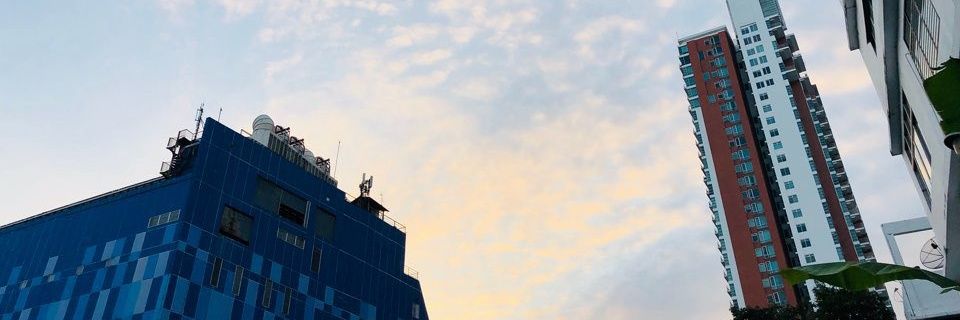 พีช🍑 banner
