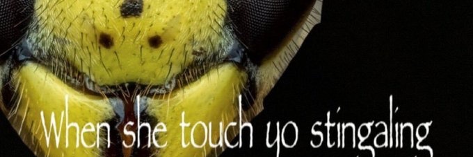 TheE_Snail's profile banner image