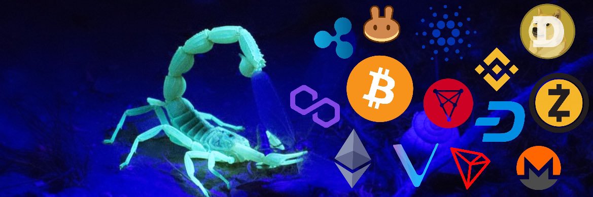 CryptoScorpion 🦂 banner