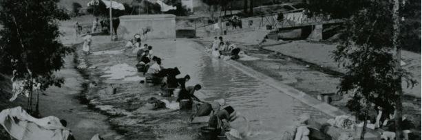 Carla Cremonte Volpe banner