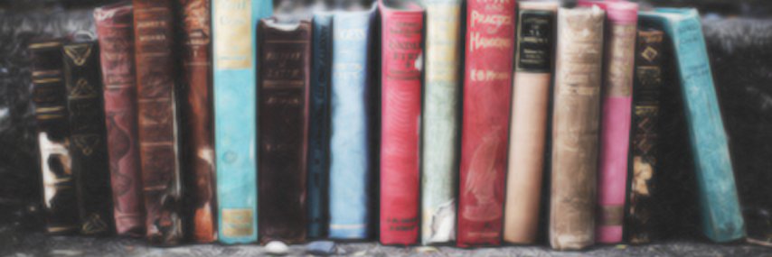 Amanda Cunningham banner