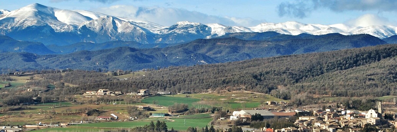 Pol Reqvesens banner