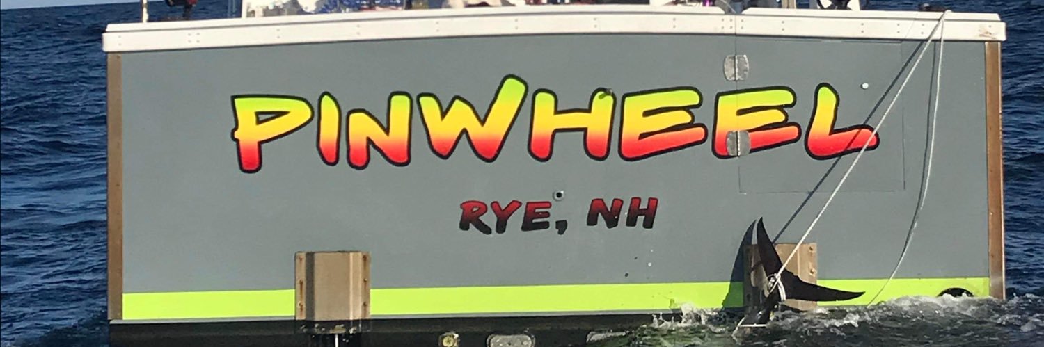 PinWheel banner