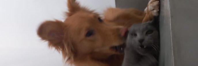 xulevs's profile banner image