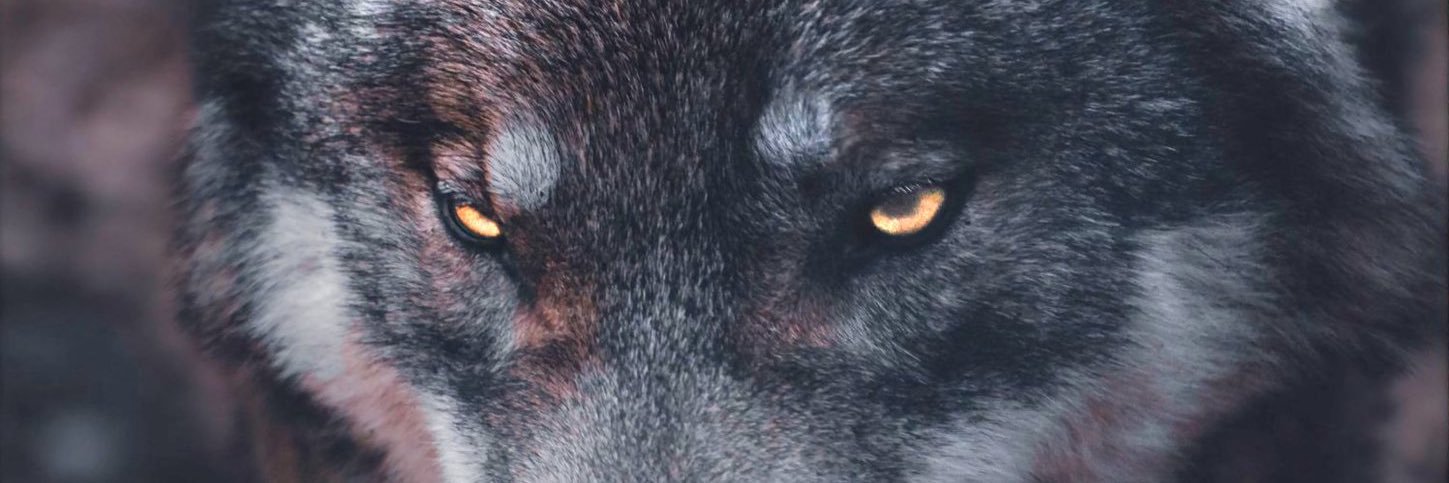 onurcakinn's profile banner image