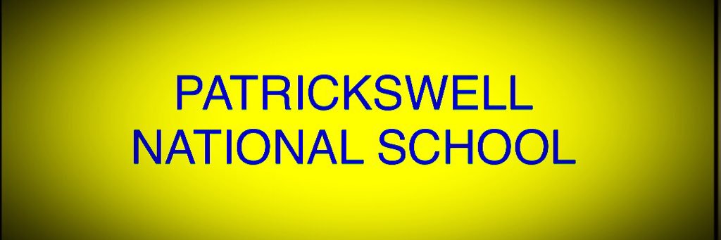 Patrickswell N.S. banner