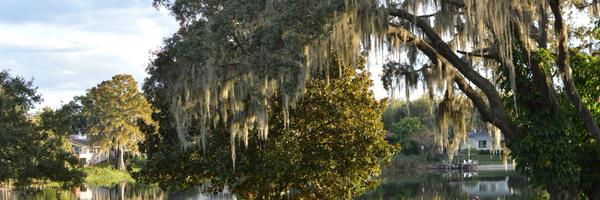 amacker Profile Banner