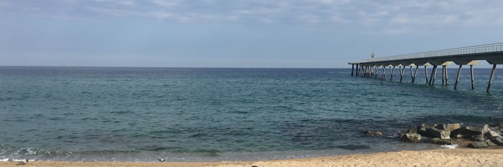 Alicia Valiente banner
