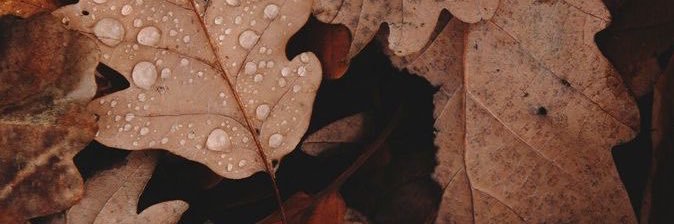 AlejandraMezaD's profile banner image