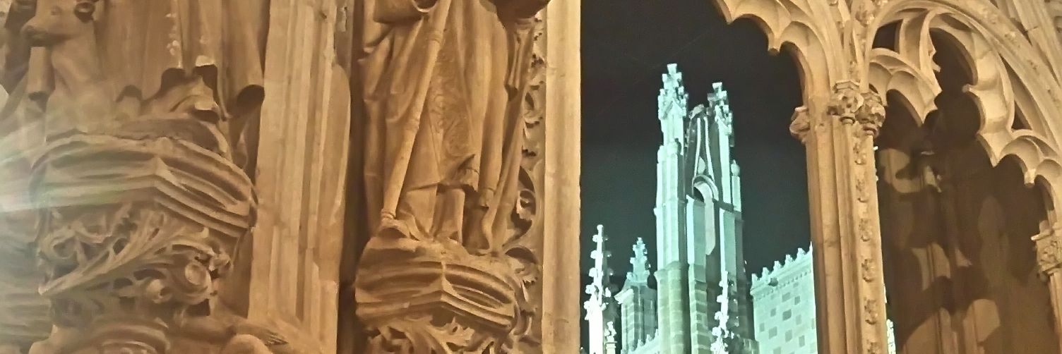 Maximo Seasunday banner