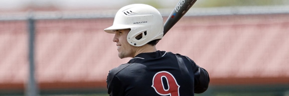 Michael Riberich® banner